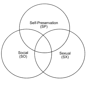 Enneagram Instinctual Variant Stacking: Instinctual Preference