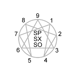 Enneagram Instinctual Subtypes