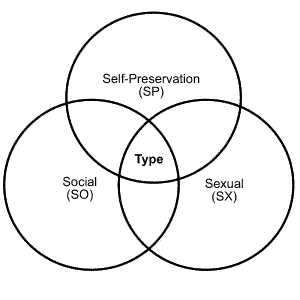 Enneagram instincts