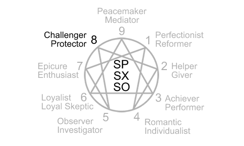 Enneagram type 8 names