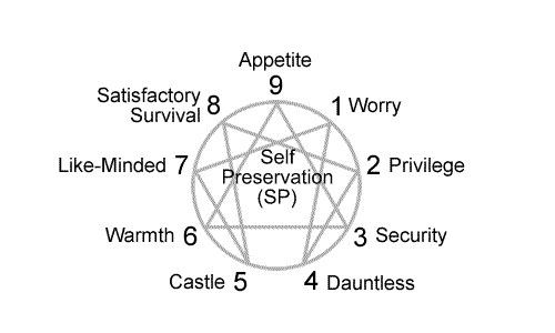 Enneagram Subtypes: Type Variations Based On The Instincts