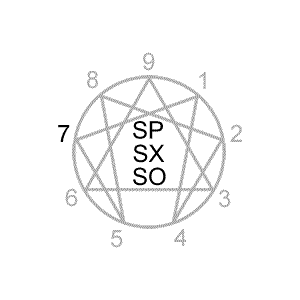 Type 7 Instinctual Subtypes