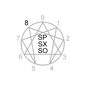 Type 8 Instinctual Subtypes